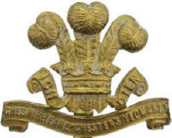 Cheshire Yeomanry Capbadge
